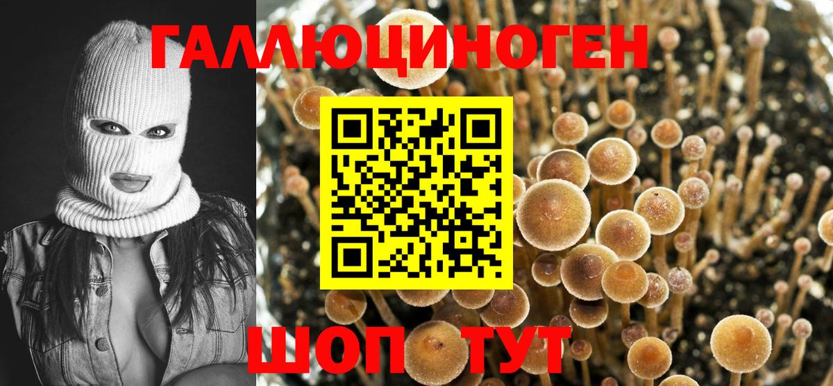 Конопля Нефтекумск