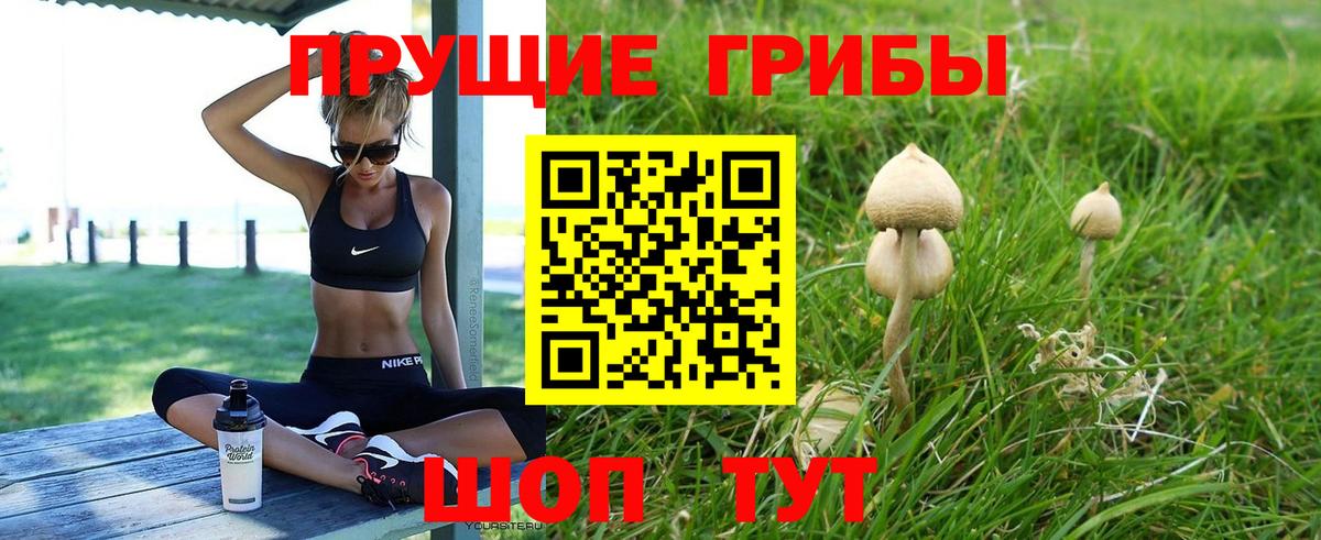 Псилоцибиновые грибы Psilocybe Нефтекумск